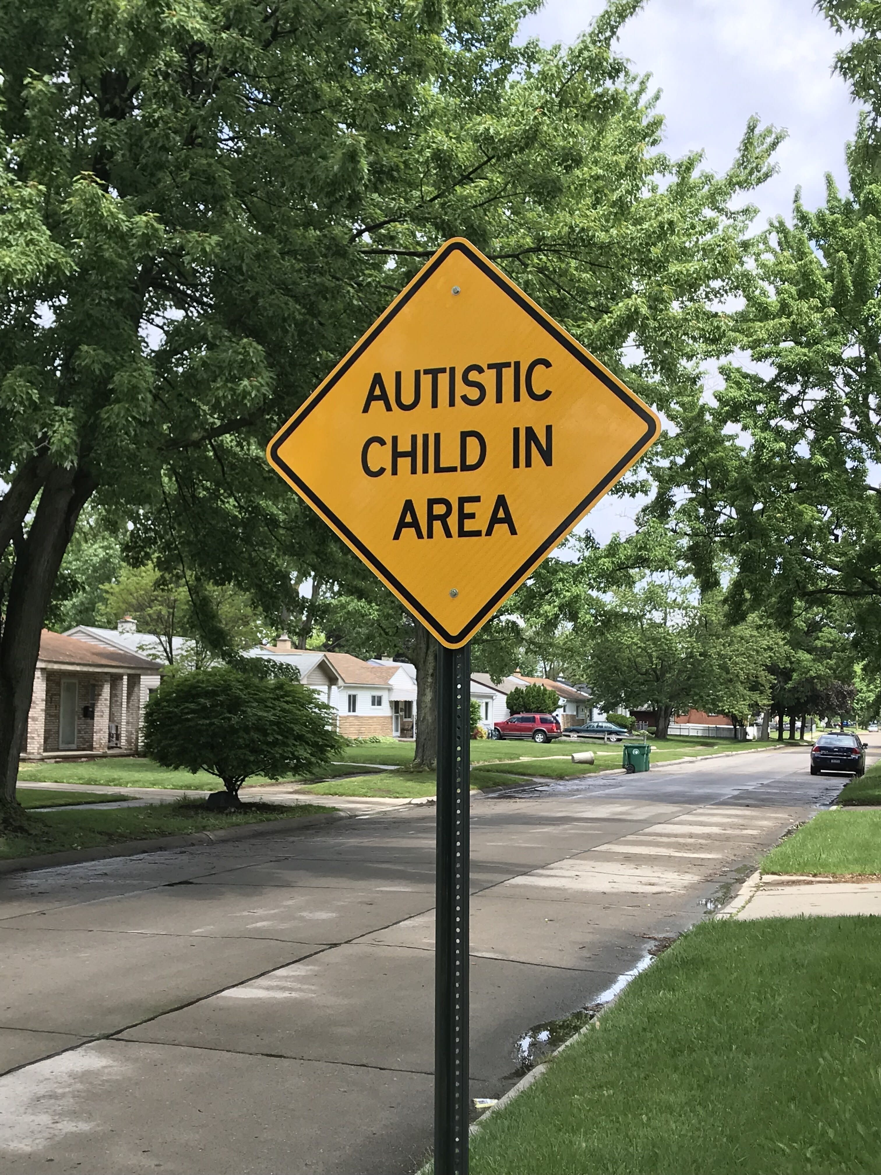 autistic-child-in-area-street-sign-vandalized-in-michigan