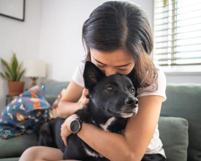 Pet insurance: Everything you need to know