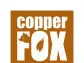 Copper Fox Commences Hydrogeology Data Collection at Van Dyke Copper Project