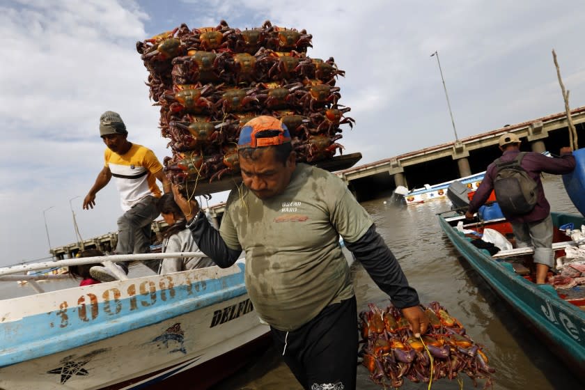 Tensions Rise In Ecuador And Peru As Chinese Fishing Fleet Moves South From Galapagos