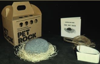 The Pet Rock Captured a Moment and Made Its Creator a Millionaire - ABC News