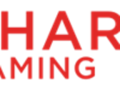 SharpLink Gaming Announces 2023 Year-End Results