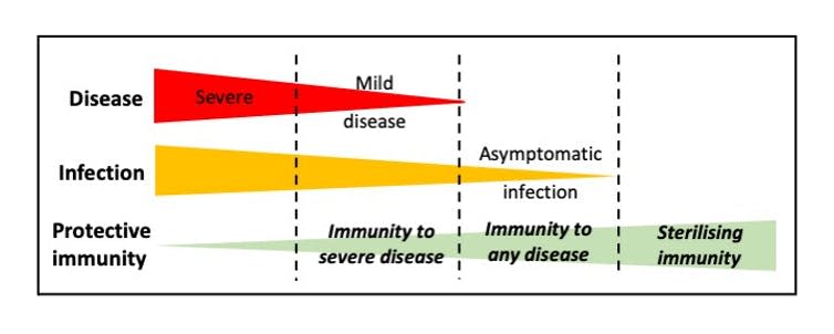 few vaccines prevent infection – see why this is not a problem