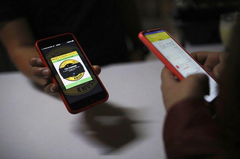 Colombian beetles exported to Japan with help from cryptocurrency