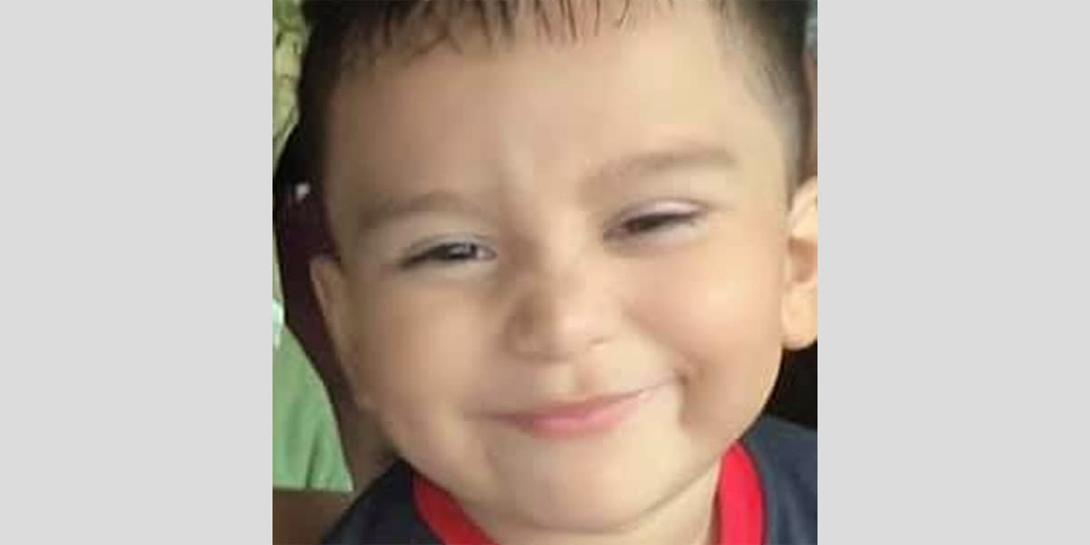 Texas toddler who disappeared from home while playing with dog found alive, sher..