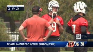 Rapoport, Garafolo: Optimism Joe Burrow (calf) will play vs. Rams on 'MNF'