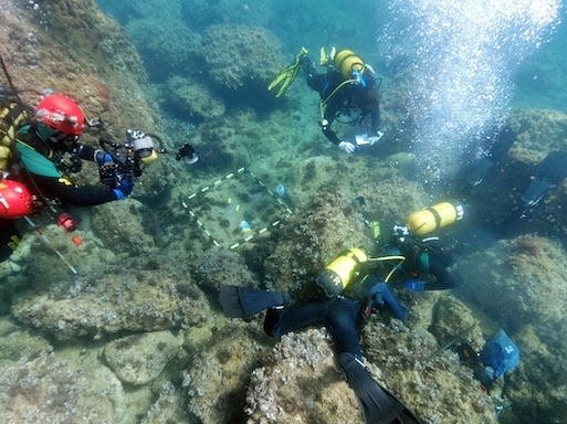 Amateur divers find an 'incredible' treasure trove of gold coins from the Roman Empire while cleaning up trash on the seabed