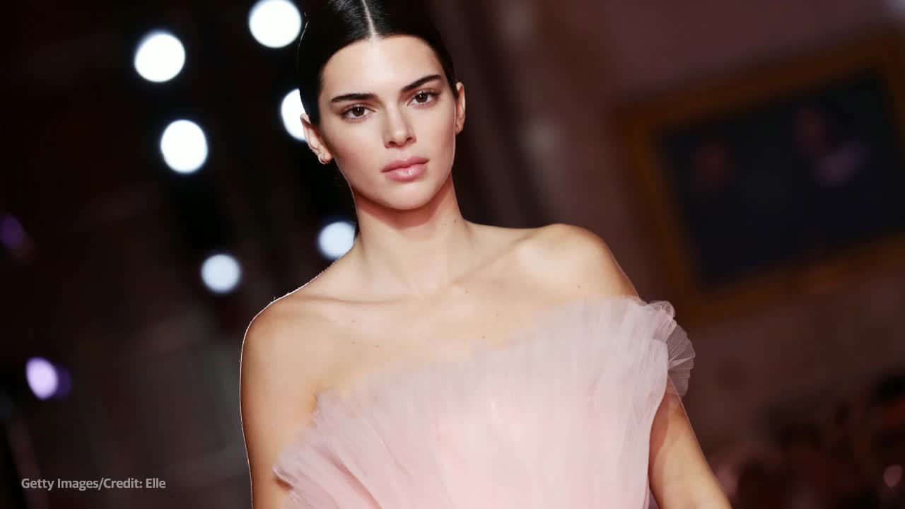 Kendall Jenner shoves chicken fillets into her bra as she films for New  York Fashion Week - Mirror Online