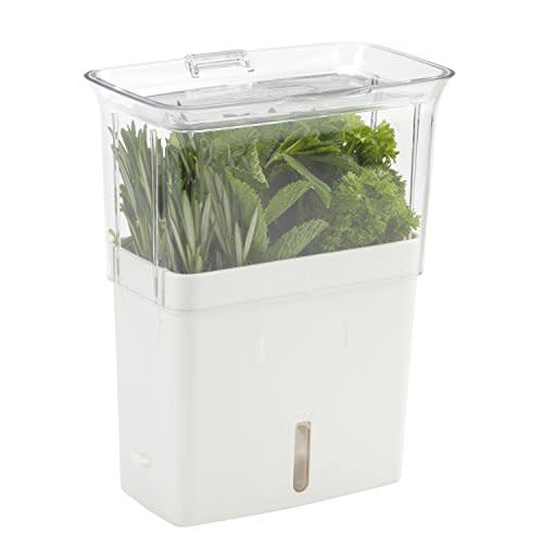 GreenSaver Herb Keeper - Large