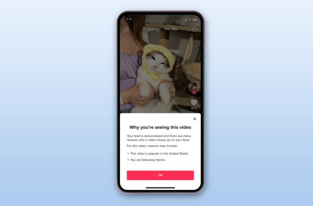TikTok will explain recommendations on its For You page,