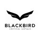 Blackbird Critical Metals Updates on OTCQB and CSE Trading Symbols