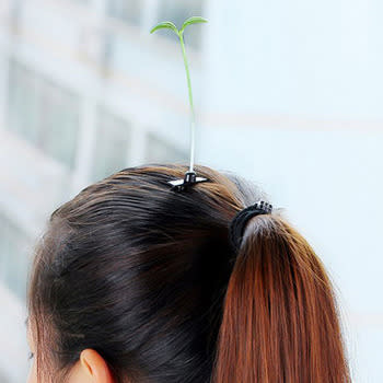 sprout hair pins