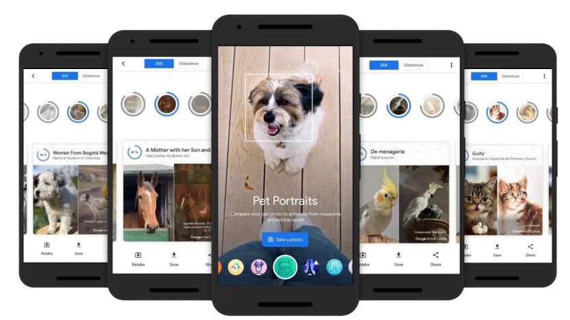 Pet Portraits feature in the Google Arts & Culture app.