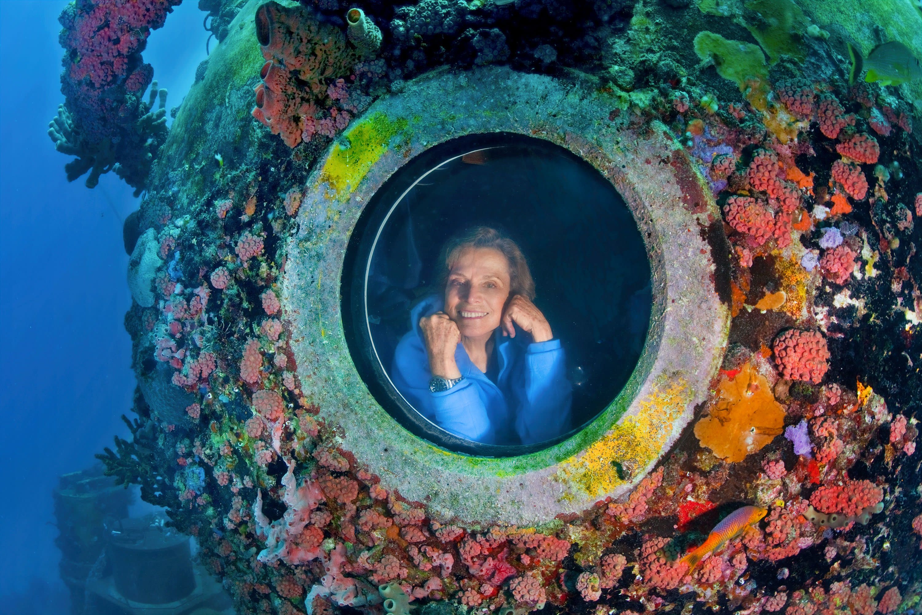 Image result for sylvia earle