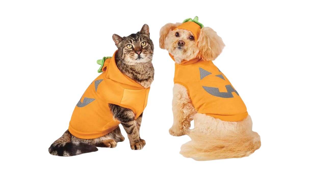 NBA Dog Costumes