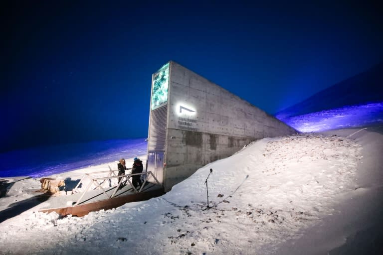 The 'Noah's Ark' of food crops is set up to preserve plants that can feed a growing population facing climate change (AFP Photo/Lise Åserud)