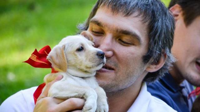 The Wysh List - Ovechkin, puppies, and Hillary Clinton