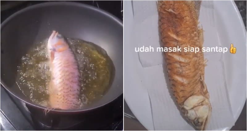 TikToker makes a meal out of her husband's lucky Asian arowana pet fish to teach..