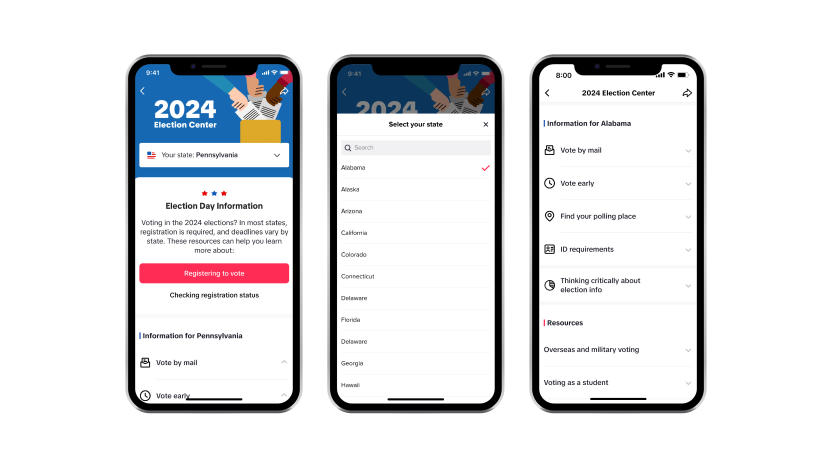 TikTok's in-app election guide for 2024.