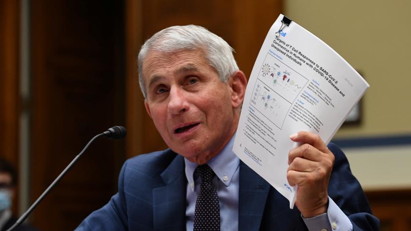 Dr. Anthony Fauci, director of the National Institute for Allergy and Infectious Diseases, testifies during the House Select Subcommittee on the Coronavirus Crisis hearing in Washington, D.C., U.S., July 31, 2020. Kevin Dietsch/Pool via REUTERS