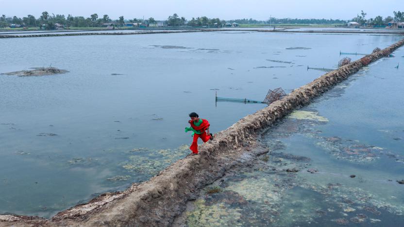 Salinity effect seen in soil as a result trees has died after Cyclone amphan hit in Satkhira, Bangladesh on March 26, 2022.  (Photo by Kazi Salahuddin Razu/NurPhoto via Getty Images)