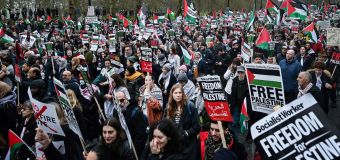 
Two arrested at pro-Palestine march including man holding 'swastika placard'