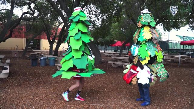 Pac-12 Tailgate gives you a first-hand look at Stanford's Big Game traditions