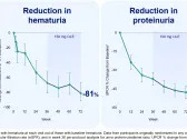 Vera Therapeutics Presents 72-week eGFR Stabilization and Rapid Hematuria Improvement in Phase 2b ORIGIN Study of Atacicept in IgAN at the 61st European Renal Association Congress