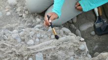 Hallan 24 fardos funerarios de más de 500 años de antigüedad en Perú