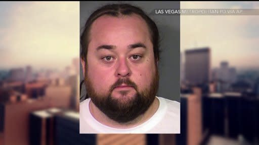 pawn stars chumlee jordans