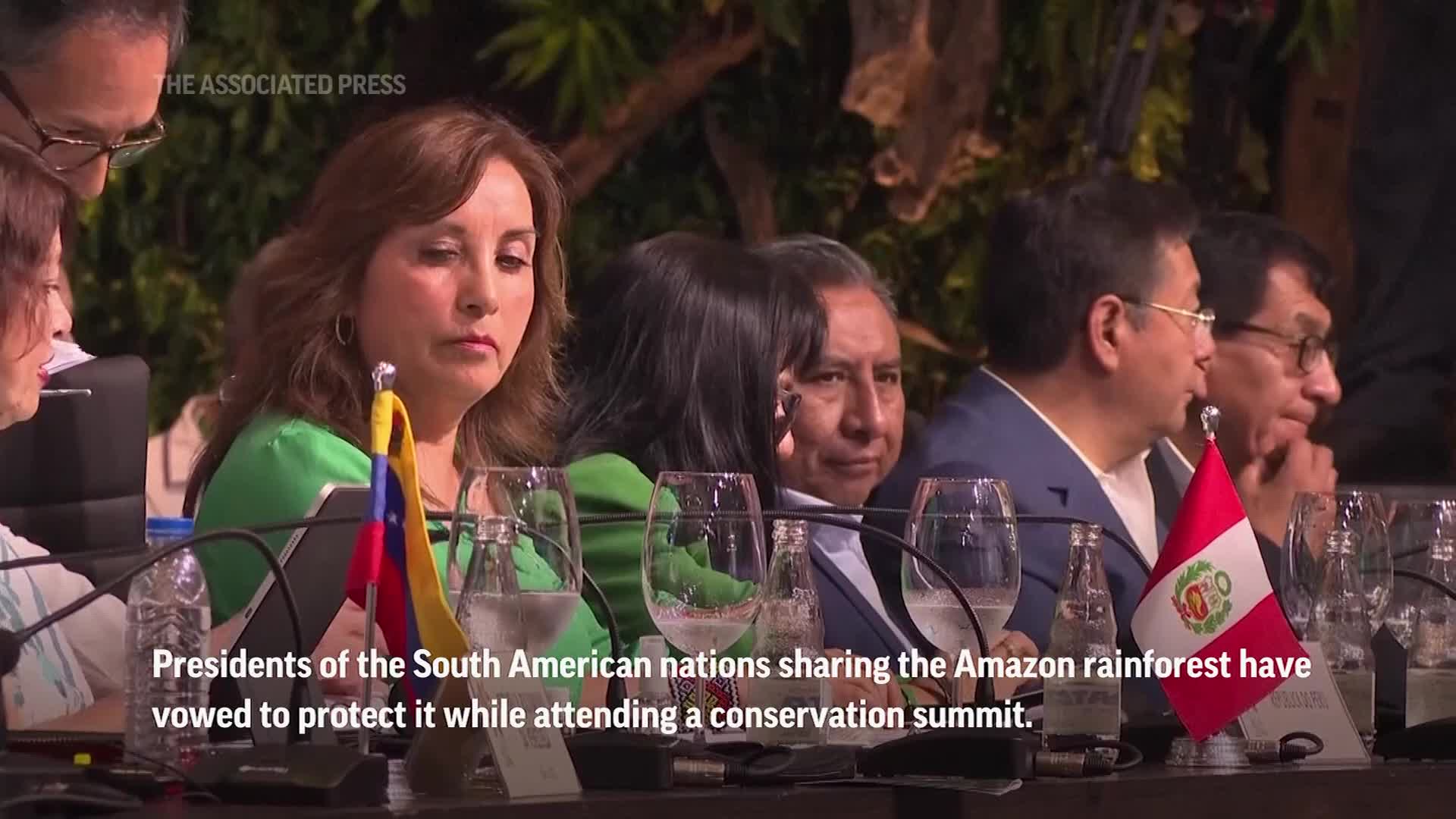 Leaders of  nations vow to protect rainforest