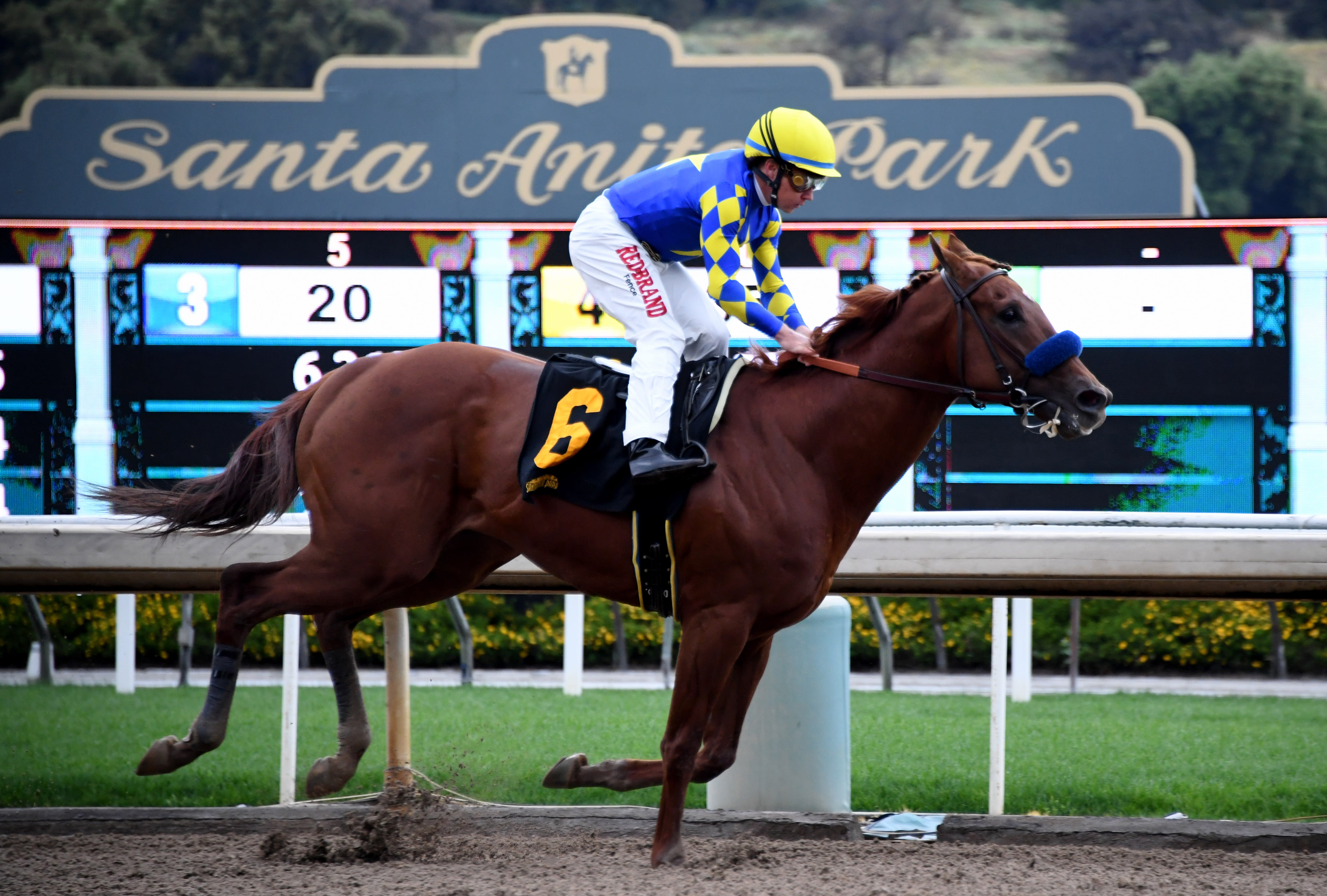 California horse racing board approves new rule restricting whip use