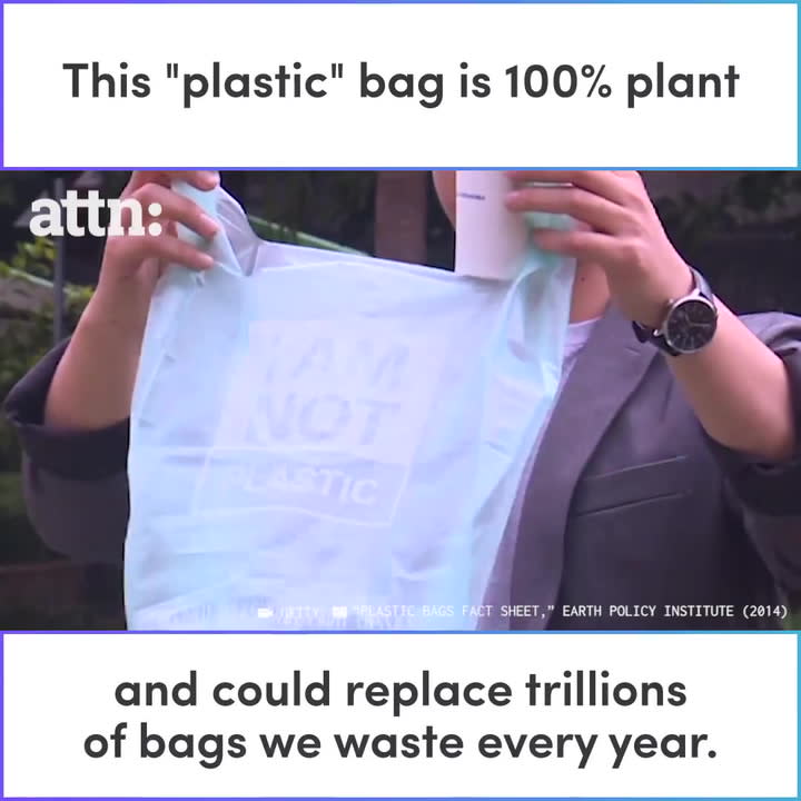 Plastic Bags Fact Sheet