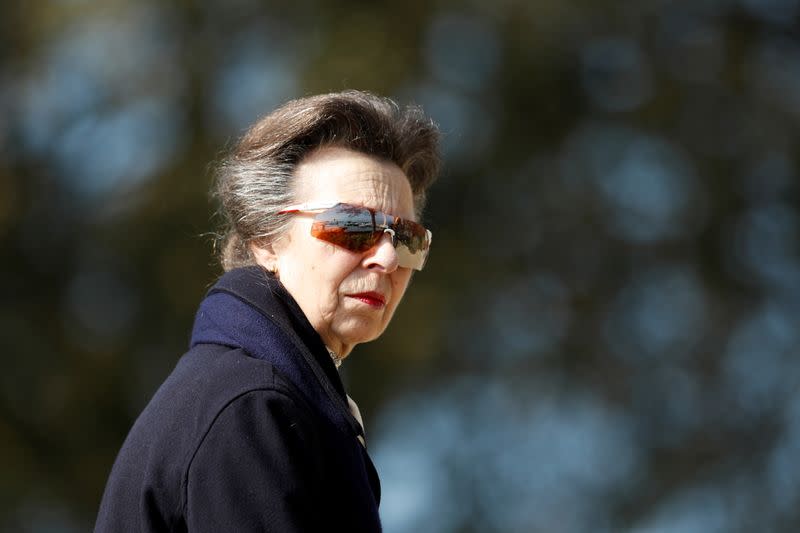 Britain's Princess Anne seen in public for first time ...