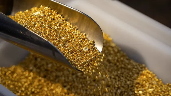 Gold hits record high, is a 'Goldilocks hedge': Analyst