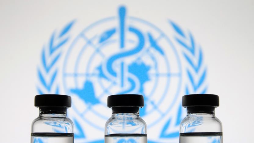 Vials in front of the World Health Organization (WHO) logo are seen in this creative photo taken on 18 November 2020. Pfizer and Biontech announced its conclude phase 3 study of COVID-19 vaccine candidate with 95% primary efficacy analysis, as media reported on 18 November 2020.  (Photo by STR/NurPhoto via Getty Images)