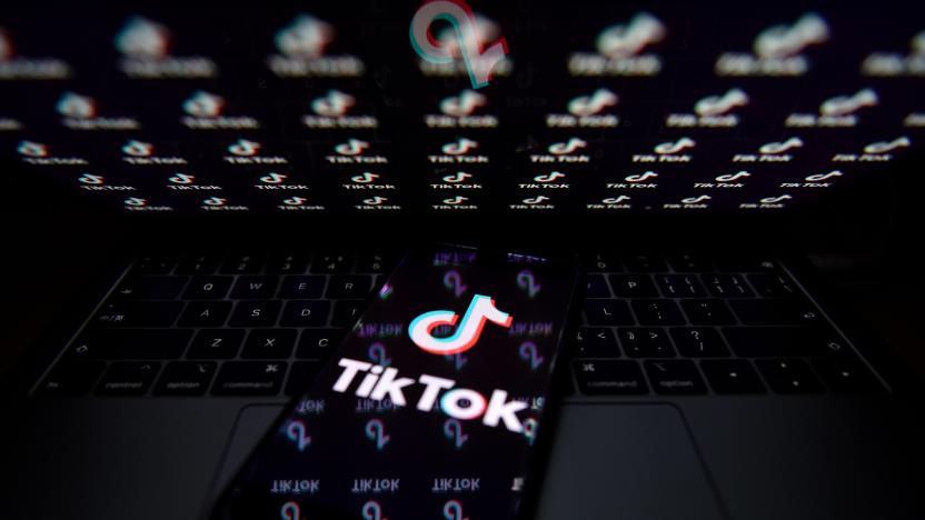 CHINA - 2020/09/14: In this photo illustration a TikTok logo is seen displayed on a smartphone. (Photo Illustration by Sheldon Cooper/SOPA Images/LightRocket via Getty Images)