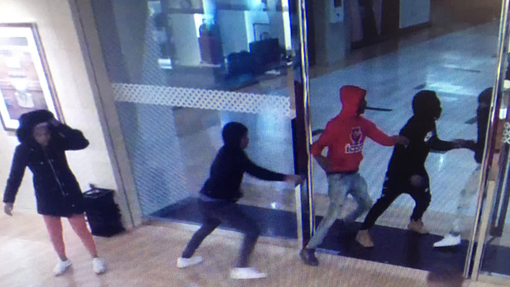 Group wanted in Louis Vuitton purse theft at Northbrook Court