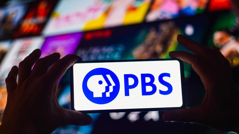 BRAZIL - 2022/09/02: In this photo illustration, the Public Broadcasting Service (PBS) logo is displayed on a smartphone screen. (Photo Illustration by Rafael Henrique/SOPA Images/LightRocket via Getty Images)