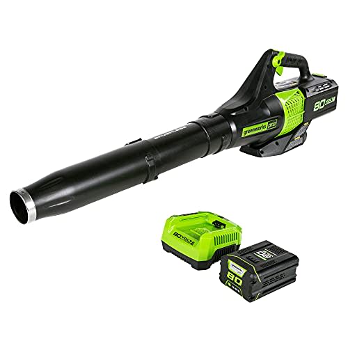 Save 34% on This Best-Selling Leaf Blower Before 's Prime Early  Access Sale