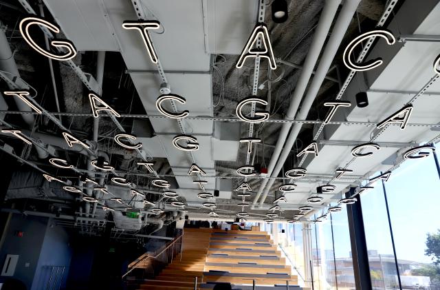 Innovation center at the new Crispr Therapeutics building. The gene editing company has moved its research headquarters from multiple buildings in Cambridge to one new building in South Boston. (Photo by Jonathan Wiggs/The Boston Globe via Getty Images)