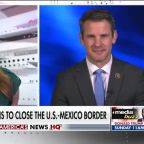Rep. Adam Kinzinger says closing the US-Mexico border would be a 'bad move'