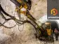 QMines doing cartwheels following new Mt Chalmers discovery