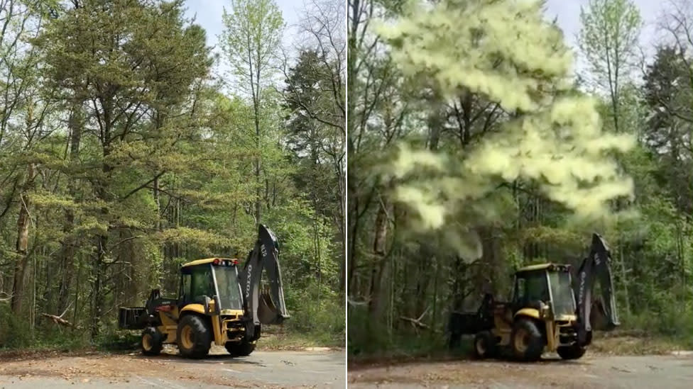 'Pollen bomb' caught on video as the allergen rises in US