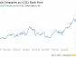 Decoding Carlisle Companies Inc (CSL): A Strategic SWOT Insight