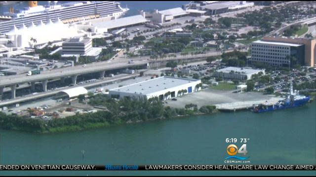 Royal Caribbean Leads Alliance Opposing Beckham's PortMiami Soccer Stadium Plan