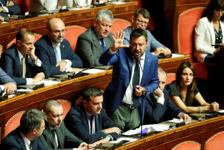 Image result for Italy's Salvini says citizen's income scheme needs reviewing