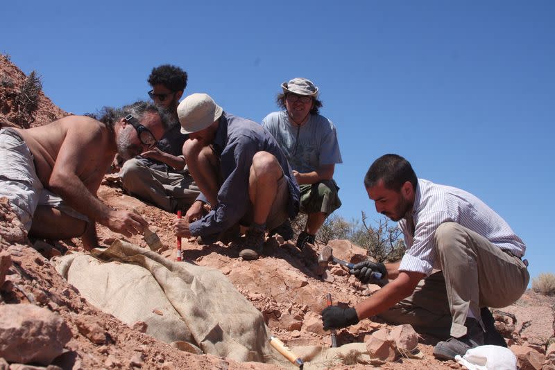 Hallan restos blindados de diminuto dinosaurio en Argentina