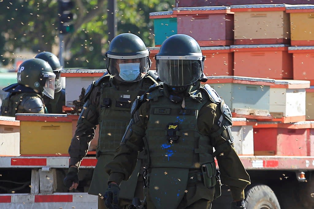 Sting operation: Police officers hurt during protest by beekeepers in Chile