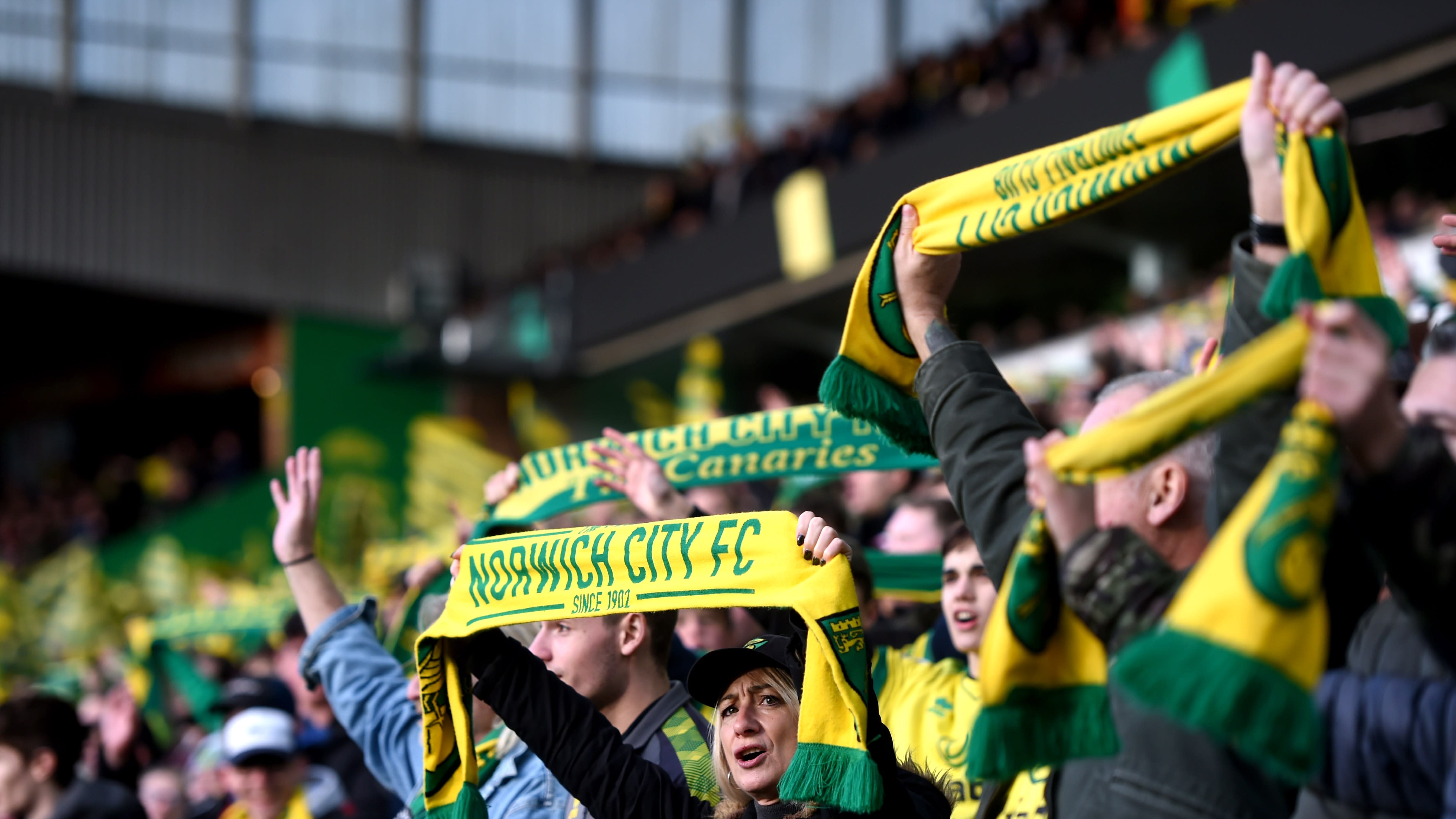 Image result for norwich fc